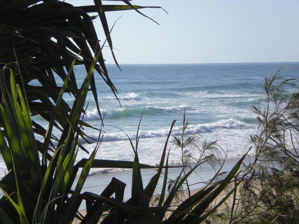 Horizons At Peregian Aparthotel Peregian Beach Room photo